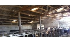 Misting and fogging system for agricultural
