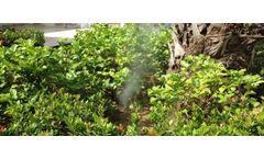 Disinfection or disinsectization by misting