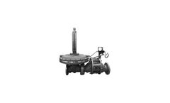 Shand & Jurs Biogas - Model 97160 - Pressure Relief Valve/Flame Trap Assembly