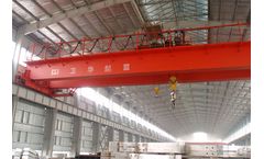 Weihua - Insulation Overhead Crane