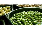 Green Olives