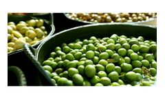 Green Olives