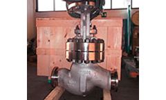 Firsa - Model 300LBS – FIG. 113 - Globe Valve
