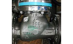 Firsa - Model 300LBS – FIG. 123 - Swing Check Valve