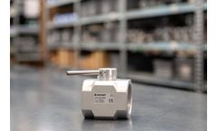 Elettromeccanica Delta - Model VF VFT VFH - Aluminum and Cast Iron Butterfly Valves