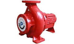 Paragon - Model PA Series - Centrifugal End Suction End Back Pull Out Fire Pump
