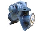 Paragon - Model PS Series - Double Suction Horizontal Split Case Centrifugal Pump