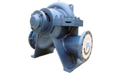 Paragon - Model PS Series - Double Suction Horizontal Split Case Centrifugal Pump