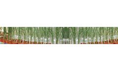 Saveer - Model WGR - Research Greenhouse -Wheat