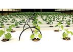 Saveer - Hydroponic System and Kits