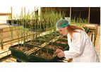 Saveer - Model RHD Series - Greenhouse