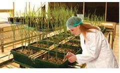 Saveer - Model RHD Series - Greenhouse