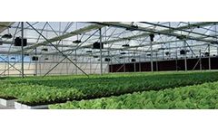 Saveer - V-Type Nursery