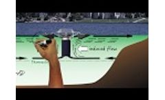 Part 1: How Does SolarBee Circulate A Lake? -White Board Series Everything Lake Video