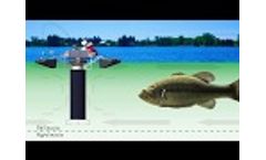Part 2: Cyanobacteria (Blue-Green Algae) Control Mechanisms -White Board Series Everything Lake Video