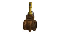 GW - Model C300 - Fluid Control Valve Pressure Reducing
