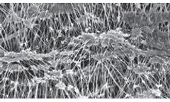 FLSmidth AFT - Model AFTm ePTFE - Membrane Filter Media