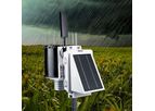 WatchDog - Model 3220 - Wireless Rain Station