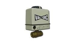 NEMA - Model 4X - Explosion Proof Electric Actuator