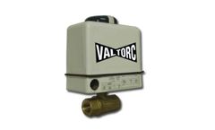 Valtorc NEMA - Model 4X - Electric Actuator