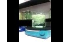 Flocculation Tests - Cosmetics Manufacturer Video
