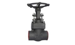 Vahn-Tech - Forged Gate Valve