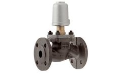Schubert & Salzer - Model Type 7030 - Flange Valve
