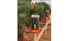 Oregon State University Study Explores Irrigation Optimization for Greenhouse-Grown Evergreen Ornamentals Using New Plant Stress Indicators