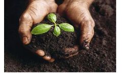 FreeGarden Kitchen - Backyard Composting Product