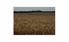 Wind turbines solutions for agricultural industry