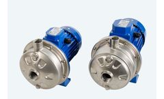 Ebara - Model CDX/2CDX - Stainless Steel Centrifugal Pump