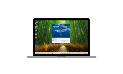 Ocean Sonics - Version Lucy II - Flagship Software