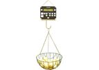 Weltech - Model PW-2050 - Potato Weighing System
