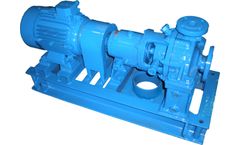 Model RPP Type - Process Pump