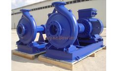Layne - Model SNT - Single Stage Norm Centrifugal Pump