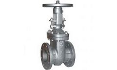 Johnson Valves - Model JV060020 - Carbon Steel ANSI 300 Gate Valve