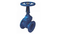 Ekoval - Model EKO2100RS - Rising Stem Resilient Seal Gate Valve