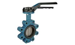 Thesis - Butterfly Valve