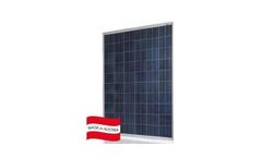 Sun Value - Model SV – 230 / 235 / 240 / 245 / 250 PI-T - High-Performance Photovoltaic Modules