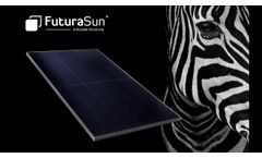ZEBRA: The new Back Contact Module with IBC Technology - video