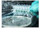 Ballya - Coliform & Thermotolerant Coliforms Culture Media for Water