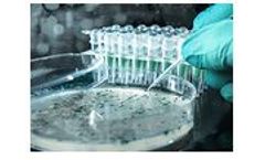 Ballya - Coliform & Thermotolerant Coliforms Culture Media for Water