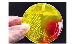 Ballya - Streptococcus Faecalis Culture Media for Water Quality Detection