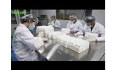 BALLYA - A Lateral Flow Test Strip Manufacturer - Rapid Test Kit Manufacturer in China - Video