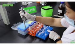 POCT How To Develop Rapid Test? How To Develop Antigen Test Kit? Lateral Flow Test Instruction - Video