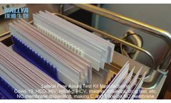 Lateral Flow Assay Development -NC Membrane Dispensing And Drying Process In POCT Test Manufacturing - Video