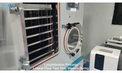 Lyophilization Process Lateral Flow Test Strip Manufacturing - Rapid Test Manufacturing Lyophilized - Video