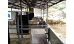 Farmers` & Producers` Choice: Kupsan Electronic Ear Tags Video