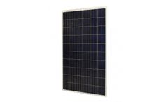 Solitek Standard - Model P.60 - Solar Panel