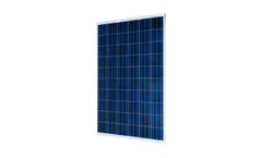 EXE Solar - Model POLY 60 Asia - Polycristalline Cells Modules